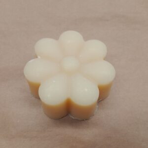 PALASHAMPOO/BAR SHAMPOO