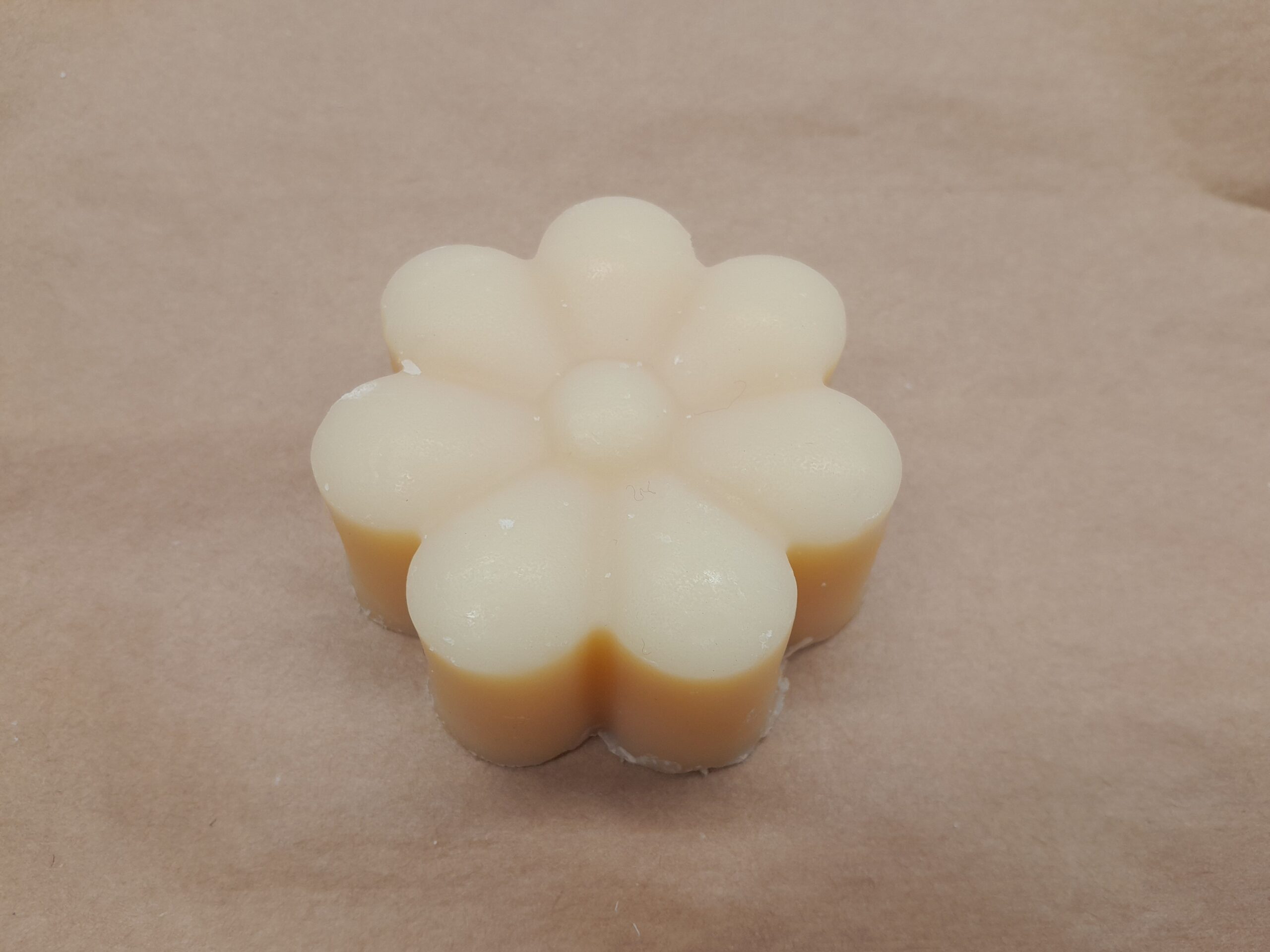 PALASHAMPOO/BAR SHAMPOO